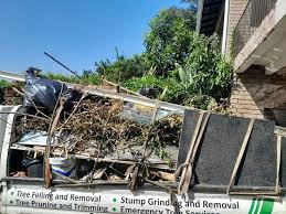  Lemoore Station, CA Junk Removal Services Pros